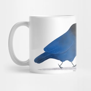 Azure Jay Bird Mug